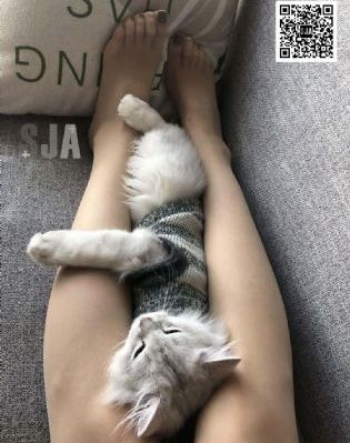 推荐日漫