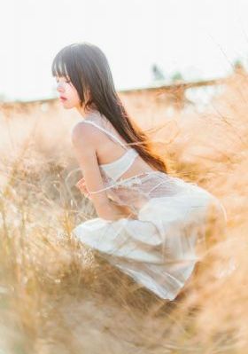 王的女人 电视剧