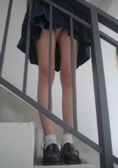 番茄视频在线观看