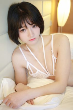 灯草花和灯高清免费