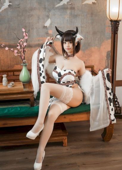 万物理论国语版免费观看完整