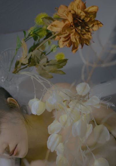 电视剧《真心英雄》在线观看