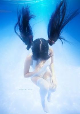 花房姑娘电视剧免费看