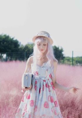 少女情怀总是诗