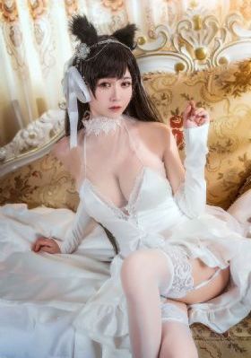 特种兵之深入敌后 电视剧